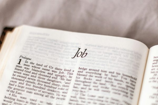 páginas para buscar empleo